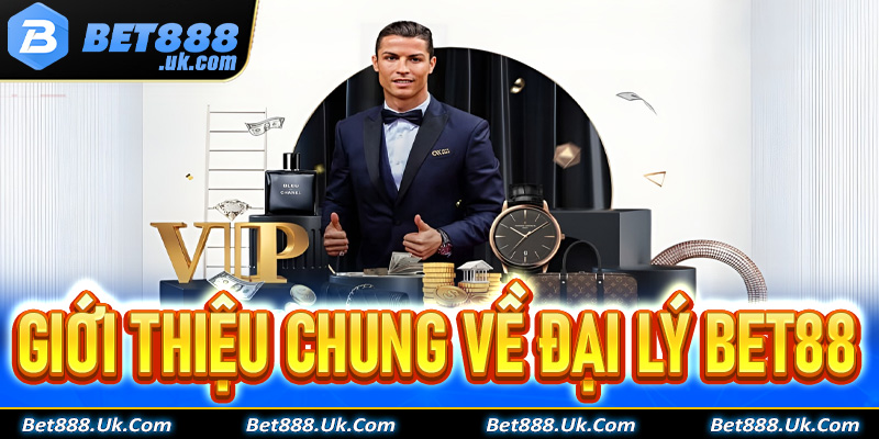 Giới thiệu chung về hệ thống đại lý Bet88